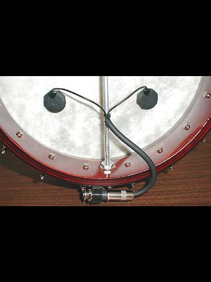 Passive Transducer Pickup System for Banjo